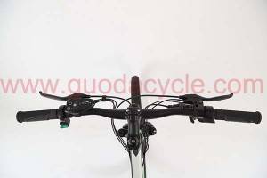 GD-EMB-015：Electric mountain bike, 36V250W, 27.5 inch, ShimanoTY300, mechanical disc brake