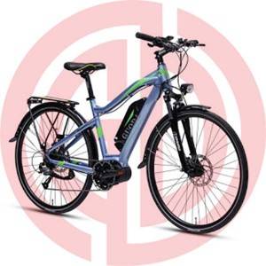 GD-EMB-011：  Electric Mountain Bicycle, 36v ,28 Inch, lithium battery, 6061aluminum alloy,  motor 250w