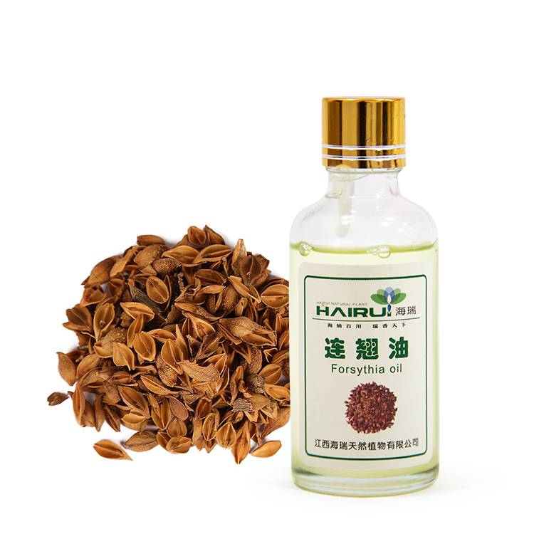 Chinese herb  forsythia Oil essential oil for skin body care