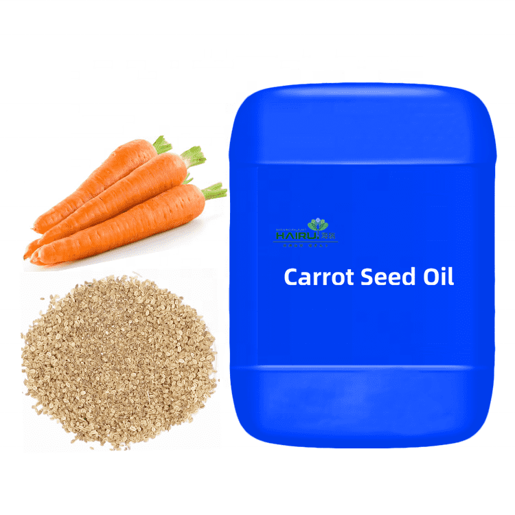 OEM Pure Natural spicy Carrot seed Essential Oil