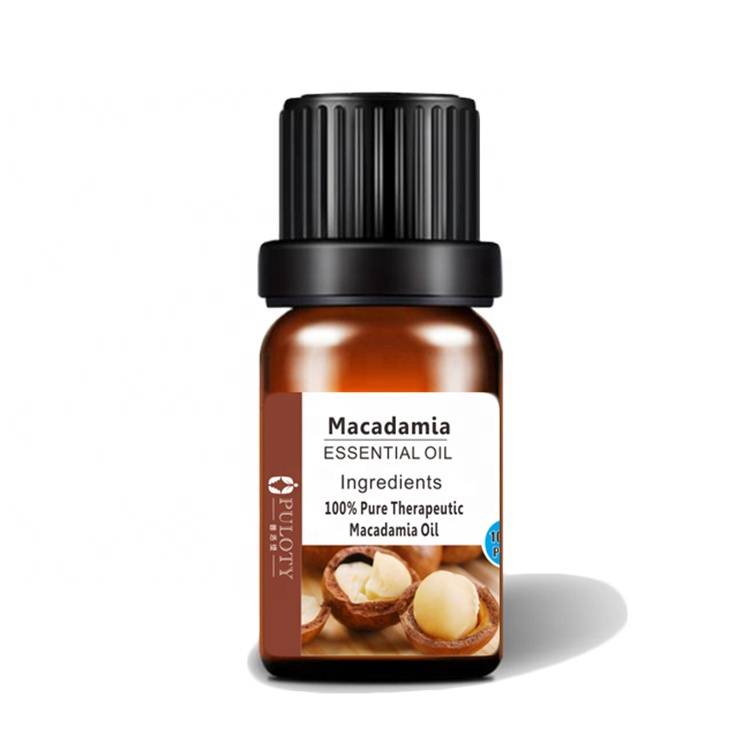 Extract Macadamia Nut oil essential oil good for Soap