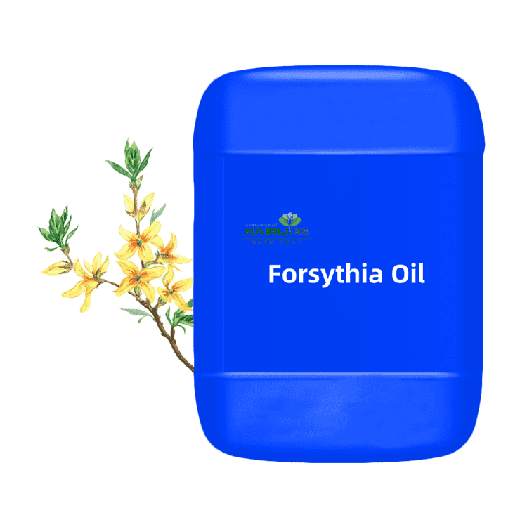 high quality forsythia Oil essential oil Chinese herb