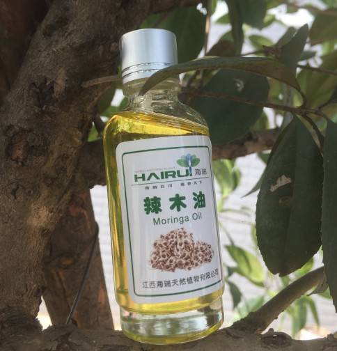 Moringa essential oil Behen in bulk at best price for skin wound healing