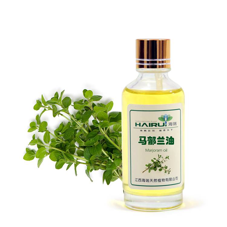 high quality Marjoram oil extract essential oil
