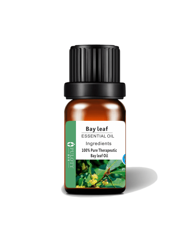 Free Shopping Top quality Bay Leaf Essential Oil for Soap