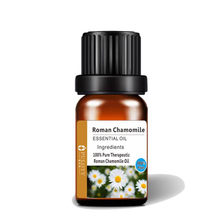 Natural extract essential Roman Chamomile Oil flower Daisy