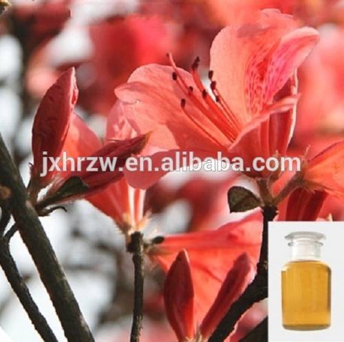 Health care rhododendron extract oil