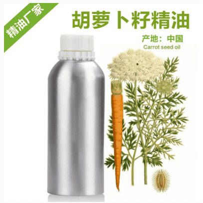 wholesale anti-wrinkle pure carrot seed oil Therapeutic Grade Essential Oil OEM/ODM