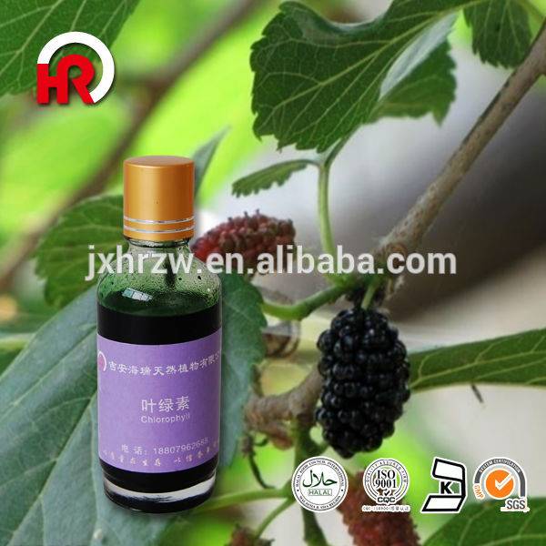 natural chlorophyll leaf extract