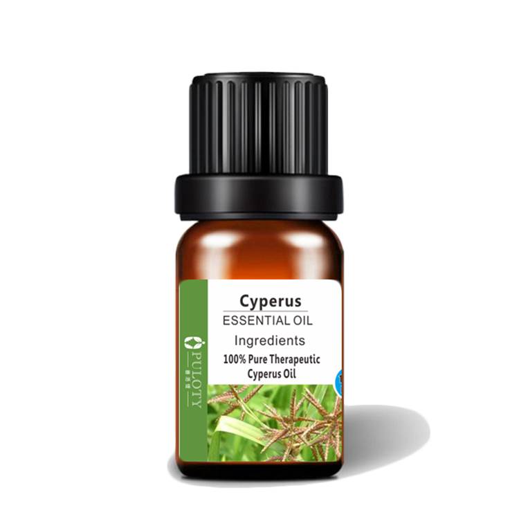 wholesale Cyperus Oil essential rotundus essential oil