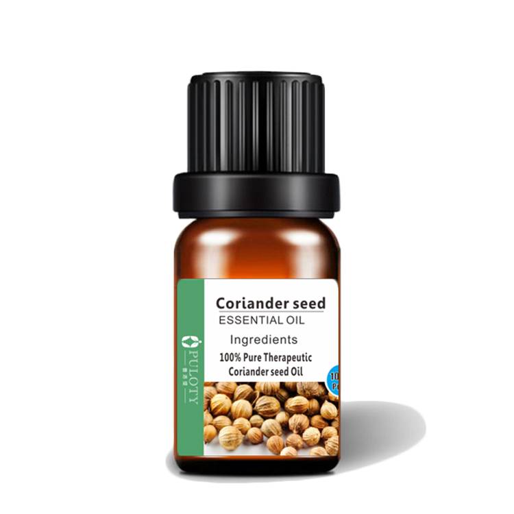 Aromatherapy Coriander oil seed extract essential oil OEM/ODM