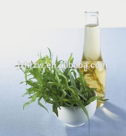 Single Herbs&Spices Product Type and Drying Process Tarragon Leaves oil