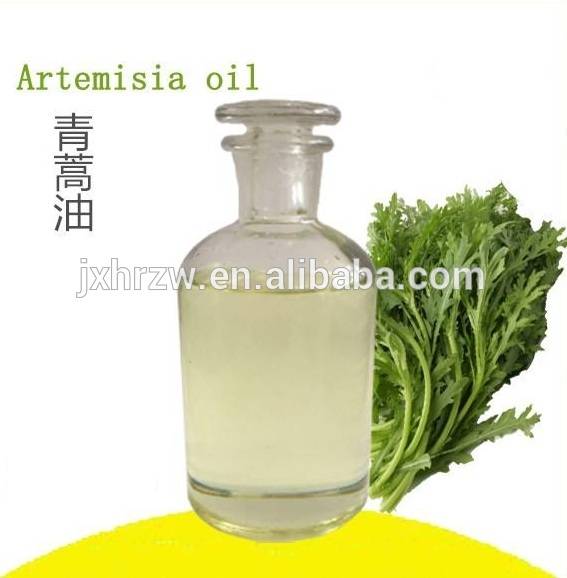 Pure artemisia annua extract oil extract powder artemisinin 98%