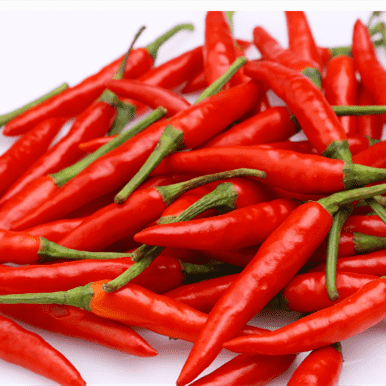 high quality natural chili extract oil for anti-aging