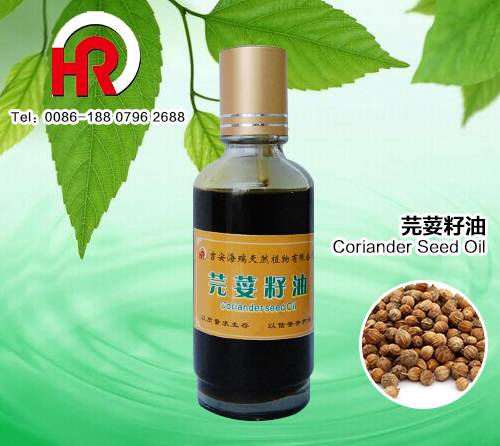 Medical grade 100% pure essential cilantro oil / coriander seed oil