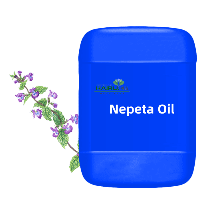 high quality Nepeta Oil essential oil for medicine