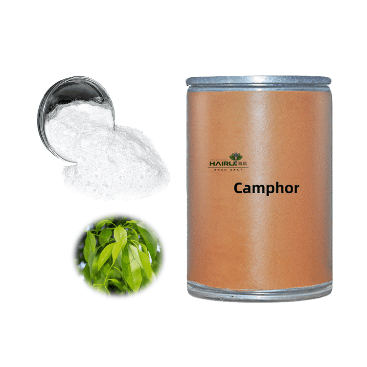 Synthetic camphor powder in camphor wholesale