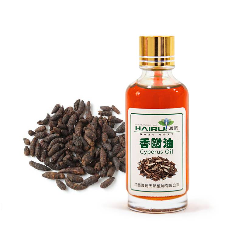 high quality Cyperus Oil in essential oil rotundus essential oil