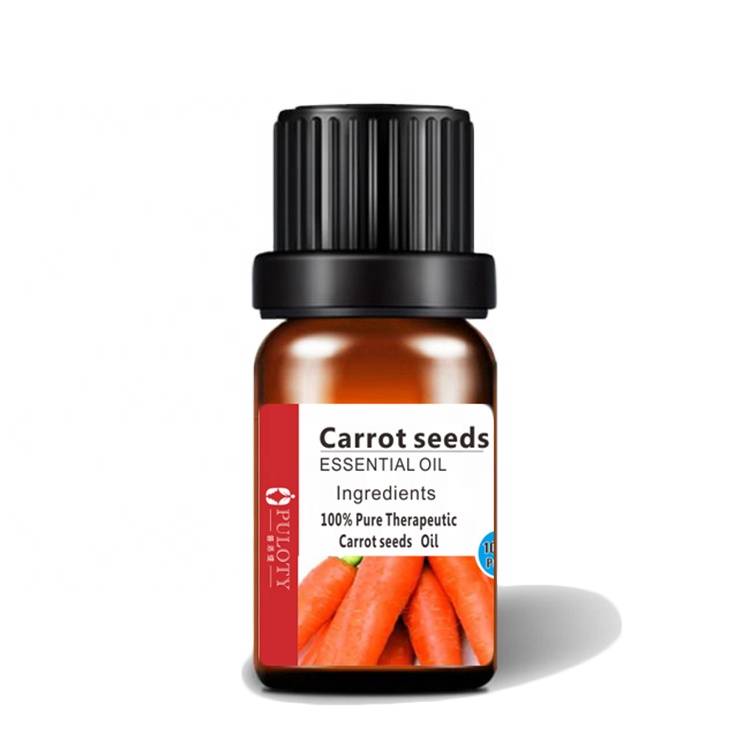 High quality cold pressed carrot seed oil 100% pure organic natural