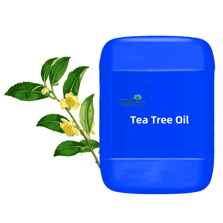 Pure Tea Tree Extraction Essential Oil For Removing Scar