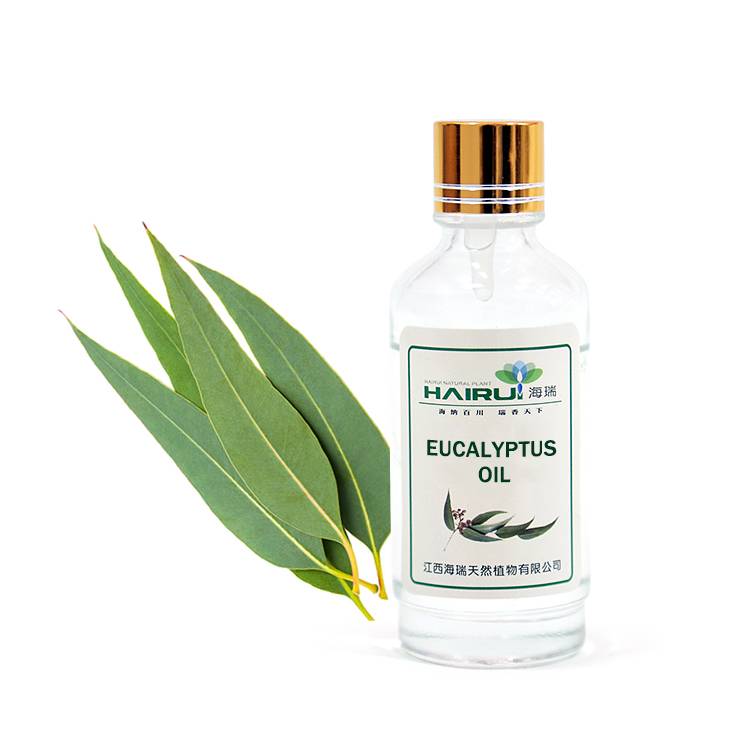Natural eucalyptus essential oil pure