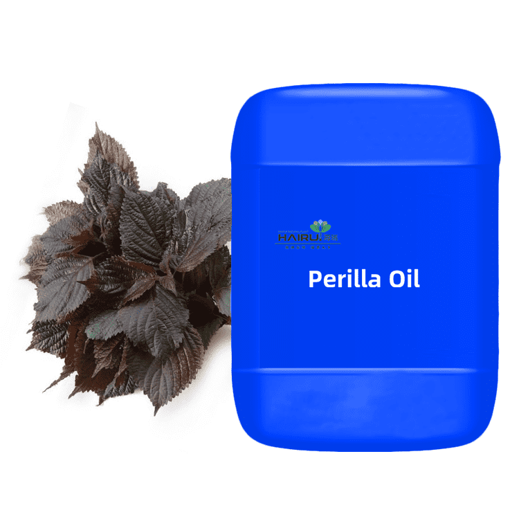 Perilla leaf Essential Oil Packed In Amber Glass Bottle