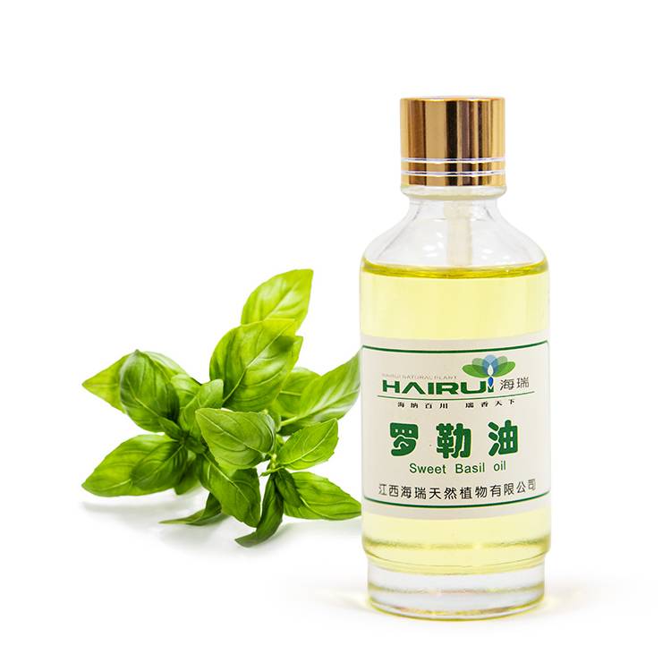 Top selling product of  natural pure basil oil price for cosmetics