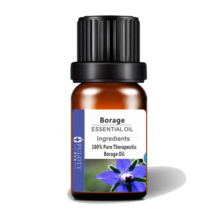 Chinese supplier skin care borage seed essential oil for cosmetic products