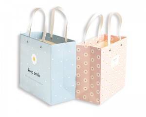 Indie hipster shopping paper bag wholesale hot-selling