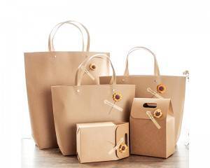 Brown paper shopping bag recycle paper bag gift bag