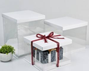 Wholesale 10 12 inch Tall White Plain Clear Plastic PET cake box
