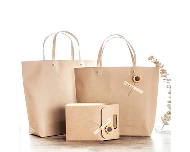 Brown paper shopping bag recycle paper bag gift bag Featured Image