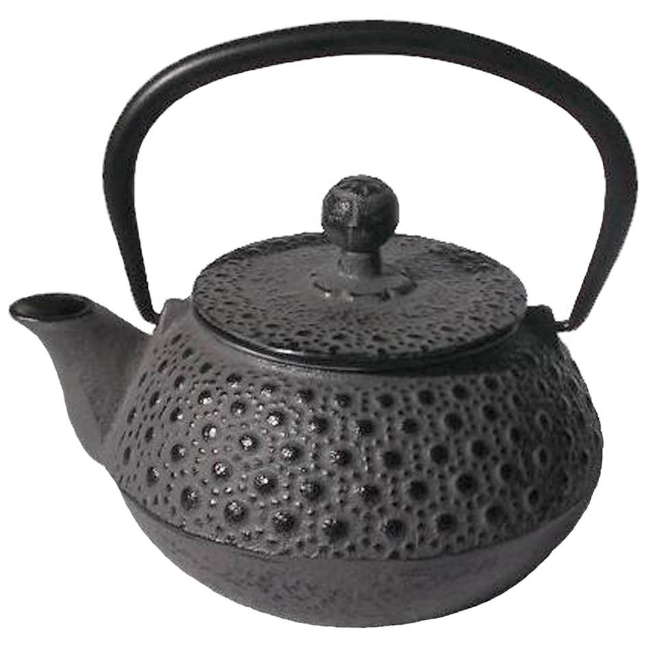 Japanese cast iron teapot kettle