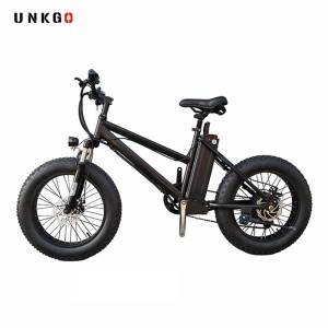 Road Electric Bike Factory Suppliers 36V 250W Max electric fat bike Frame Power Battery Bicycle City Gears Wheel Color Brake