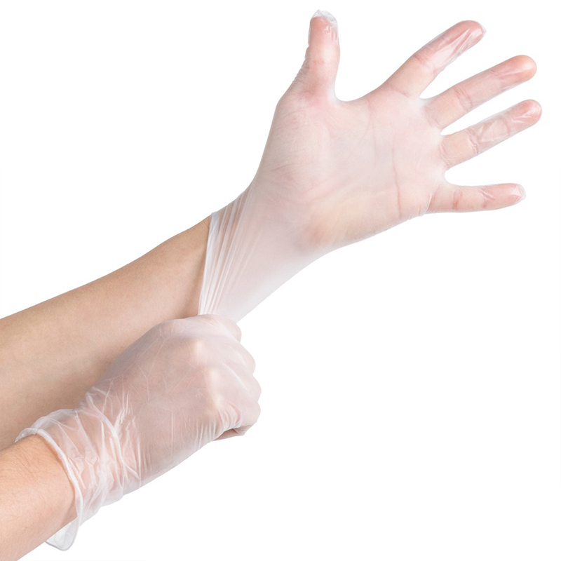 Disposable vinyl and stretch vinyl gloves Featured Image