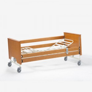 Five function Electric Home Care Bed