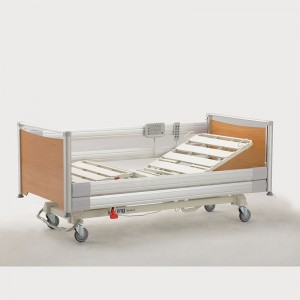 Five function Electric Home Care Bed