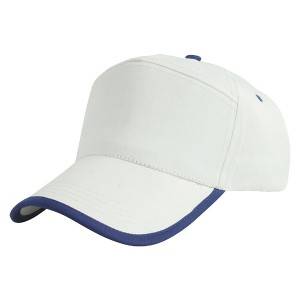 7601: 7panels cap,bordered cap