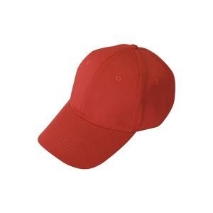 6001: Cotton Twill Cap,6panel cap,promotional cap