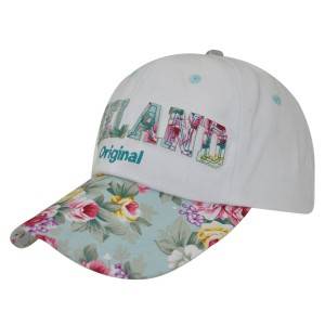 070013: popular fashion cap