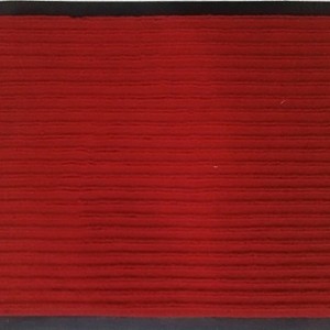 Double Rib Doormat with PVC Backing