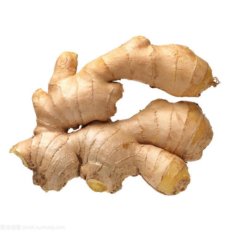 Ginger Featured Image