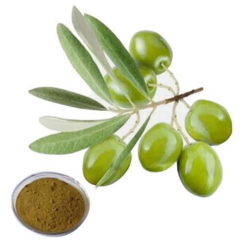 Olive Leaf extract Featured Image
