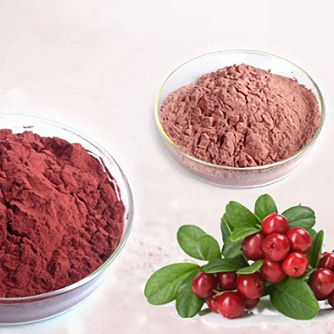 Cranberry extract Featured Image