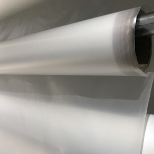 Hot melt adhesive film for insole