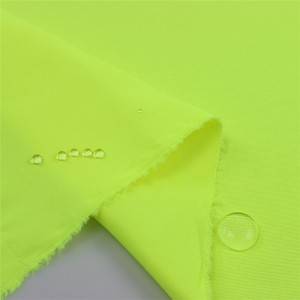 320T Polyester Taslan Fabric