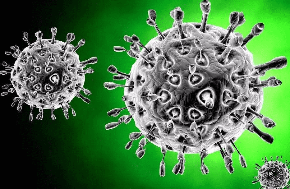 Coronavirus: What is it and how can I protect myself?