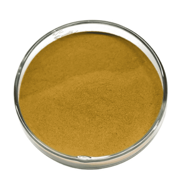 Mulberry Leaf Extract Featured Image