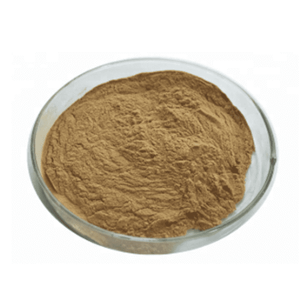 Ginkgo biloba extract Featured Image