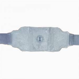 Ice pack with strap